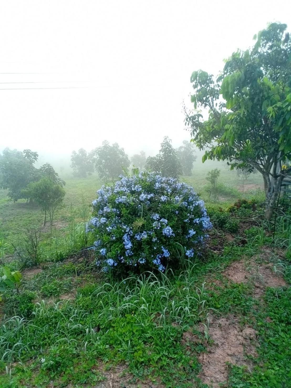Phu Aram Khao Kho Resort Exteriér fotografie
