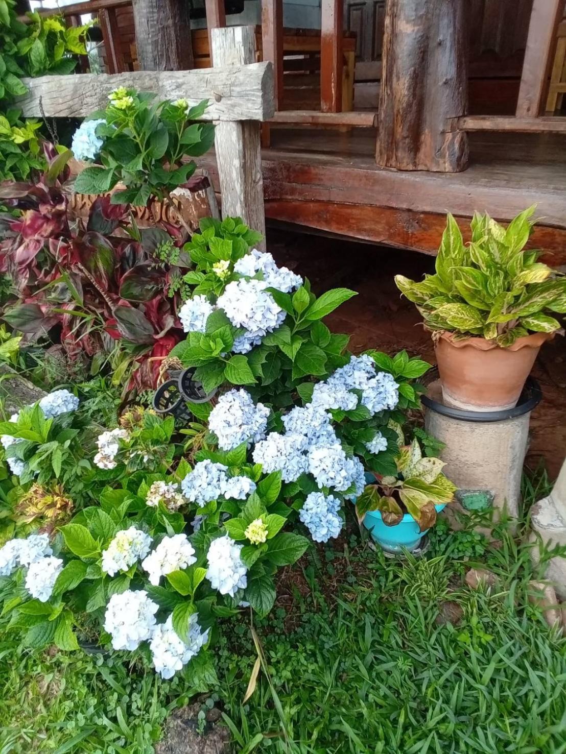Phu Aram Khao Kho Resort Exteriér fotografie
